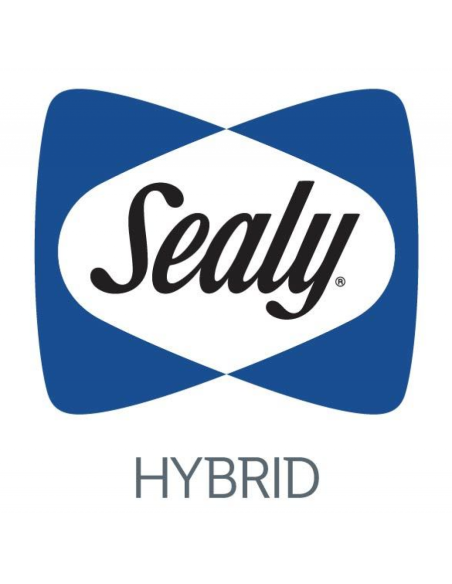 SEALY - MATELAS ACTIVE HYBRID 22 cm